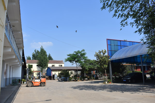 香蕉视频黄色视频日逼视频